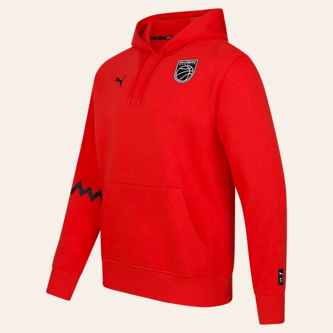 ESSENTIAL Puma Hops Hoodie rot